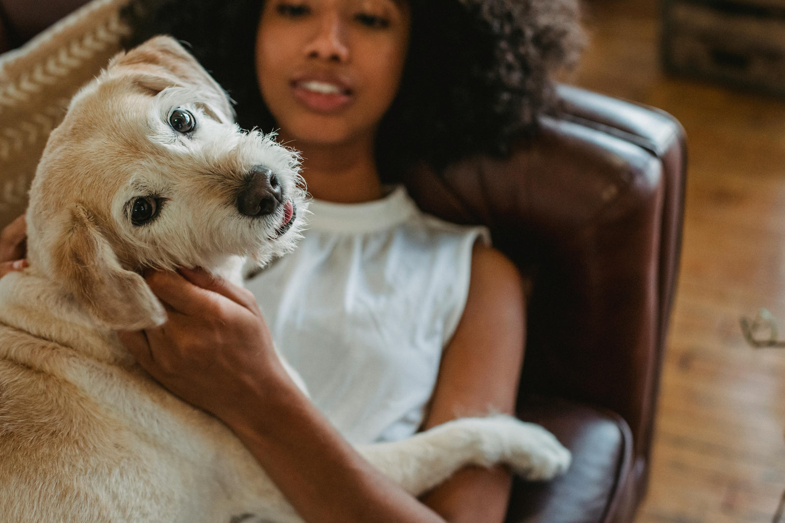 Get Rid of Pet Hair: 5 Easy Ways for Dog and Cat Owners