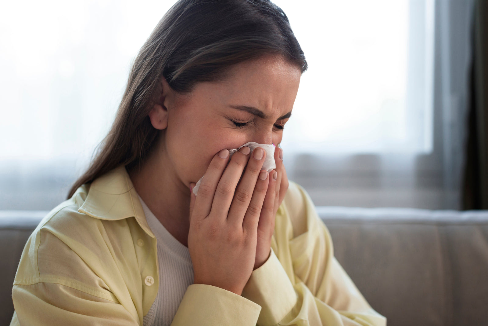 The Ultimate Guide to Getting Rid of Allergies in Your Home
