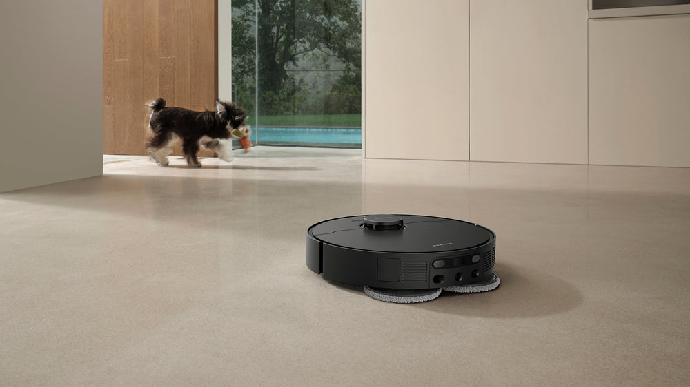 Find Pets Easily in Spacious Homes