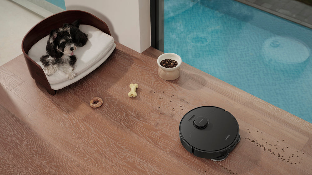 Pet Comfort within Reach